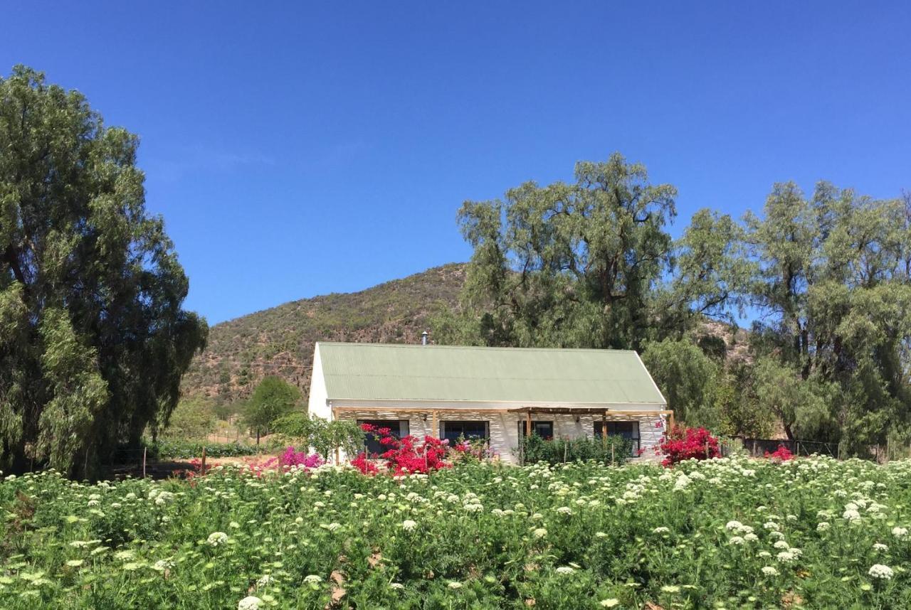 De Rust Pepper Tree Cottage מראה חיצוני תמונה